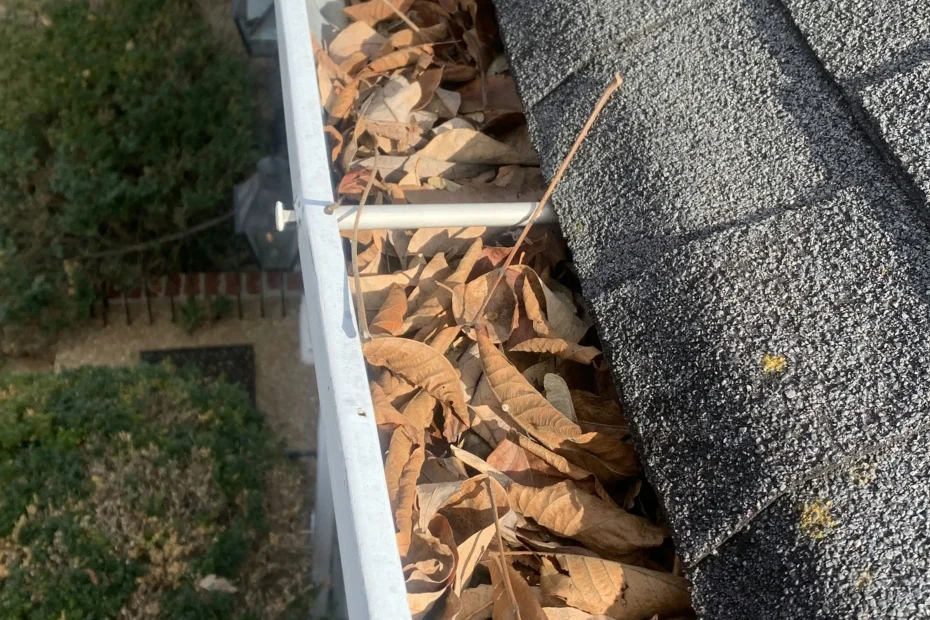 Gutter Cleaning Northampton PA